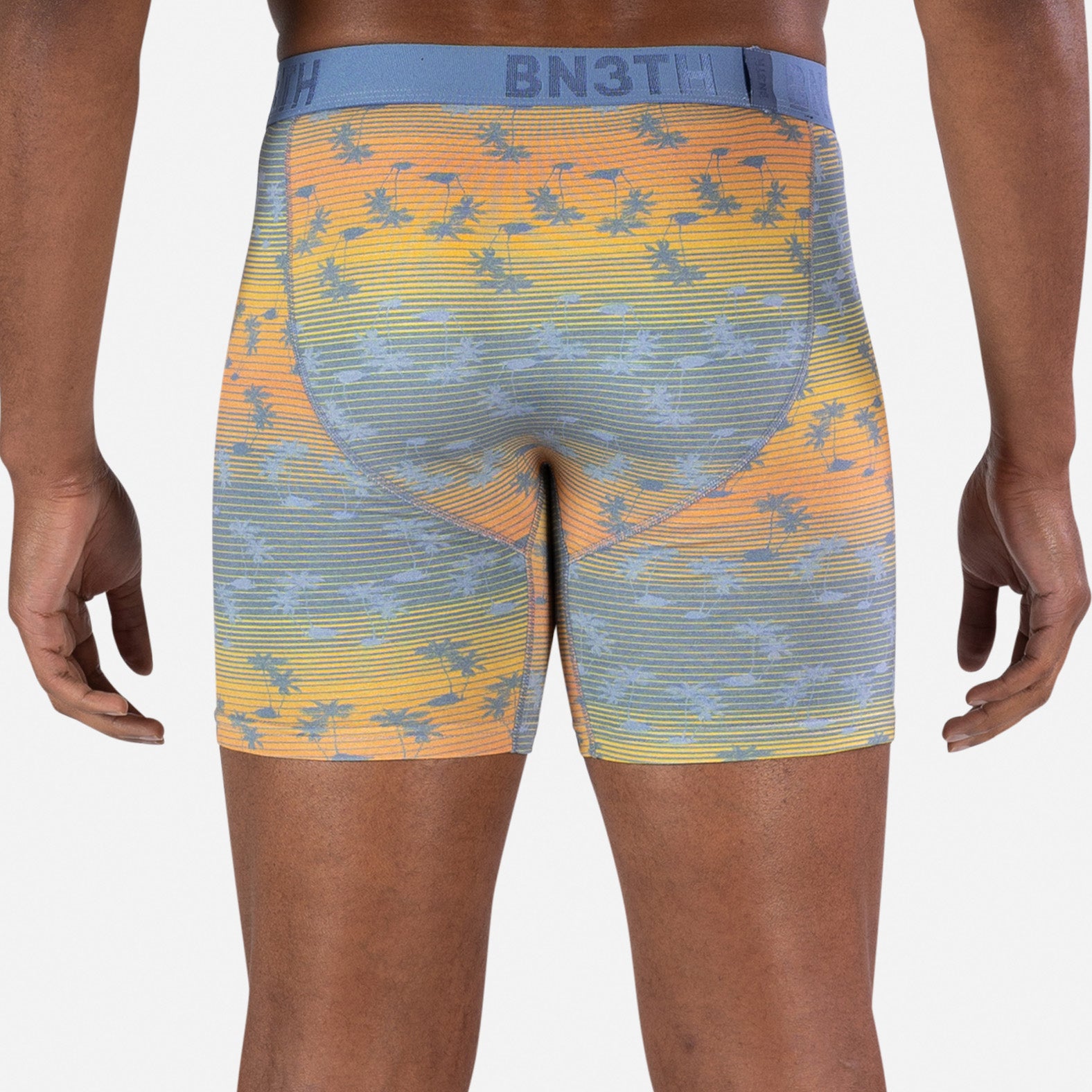 Classic Icon Boxer Brief: Palm Tree Stripe Sunset