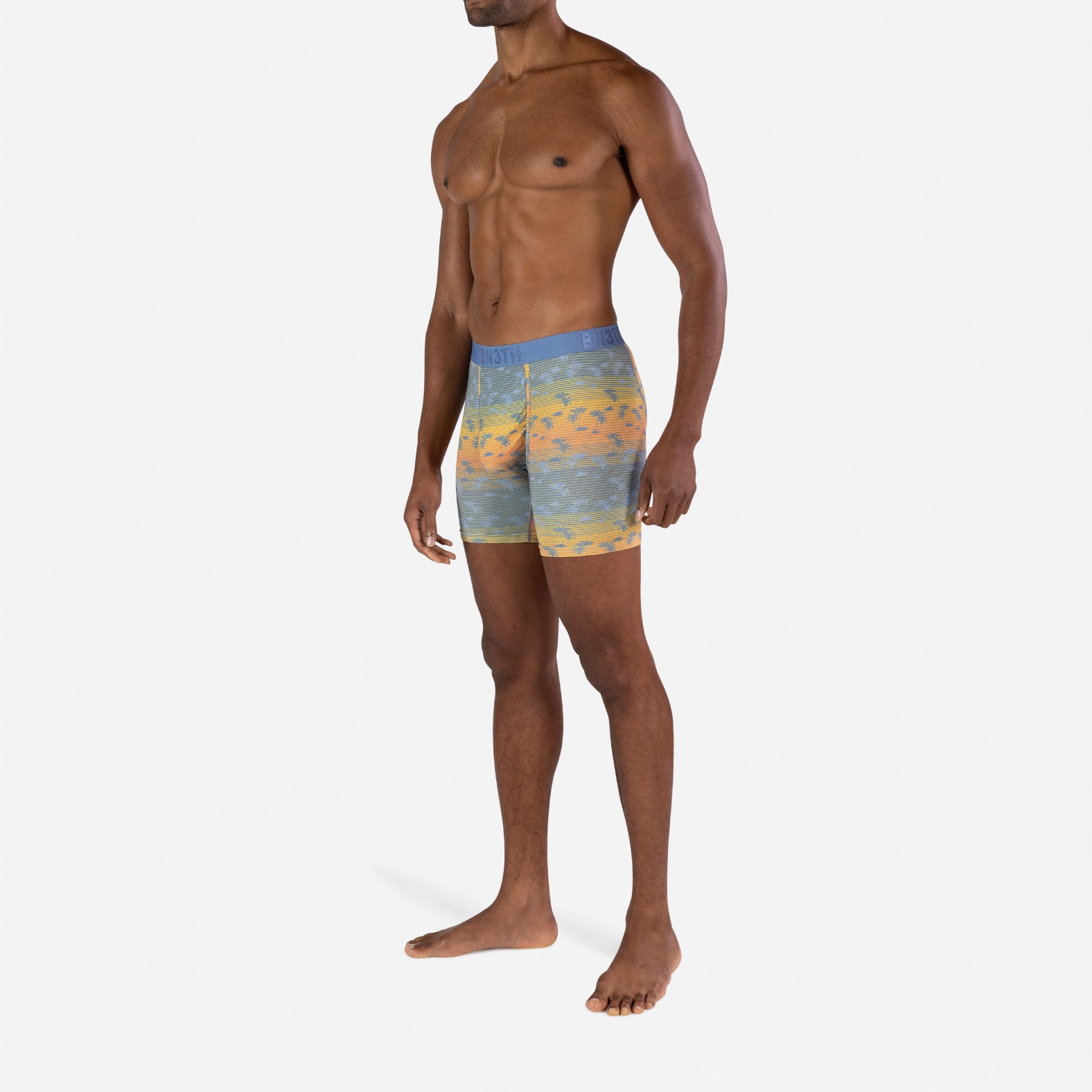 Classic Icon Boxer Brief: Palm Tree Stripe Sunset