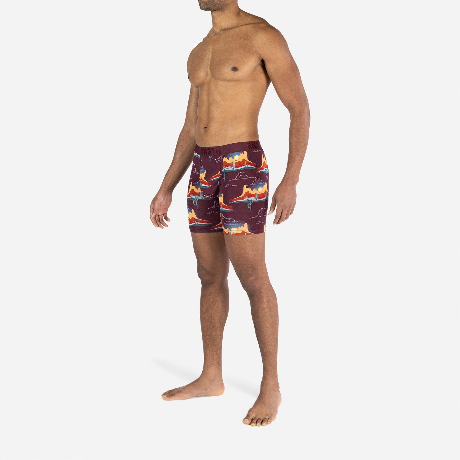 Classic Icon Boxer Brief: Western Range Fig