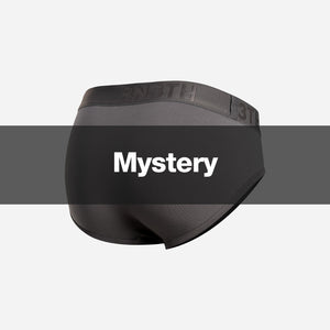 CLASSIC BRIEF WITH FLY: MYSTERY